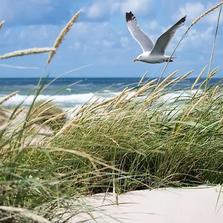 In Het Zoute Near Beaches *