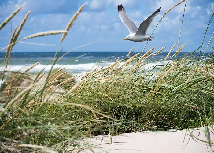 In Het Zoute Near Beaches *